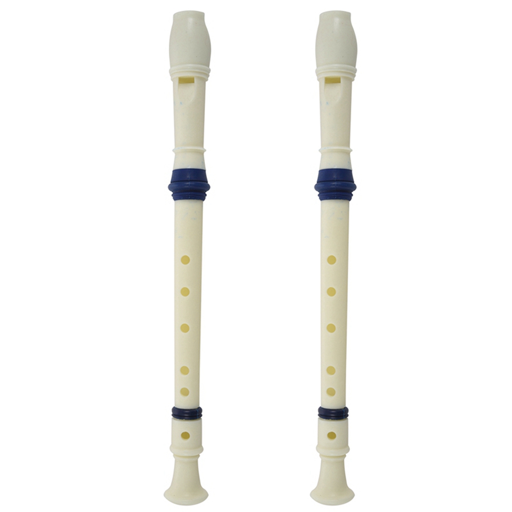 Musical Instrument Recorder - Музыкальный инструмент FSTE-2X: 6-дырочная сопрановая флейта-блокфлейта,