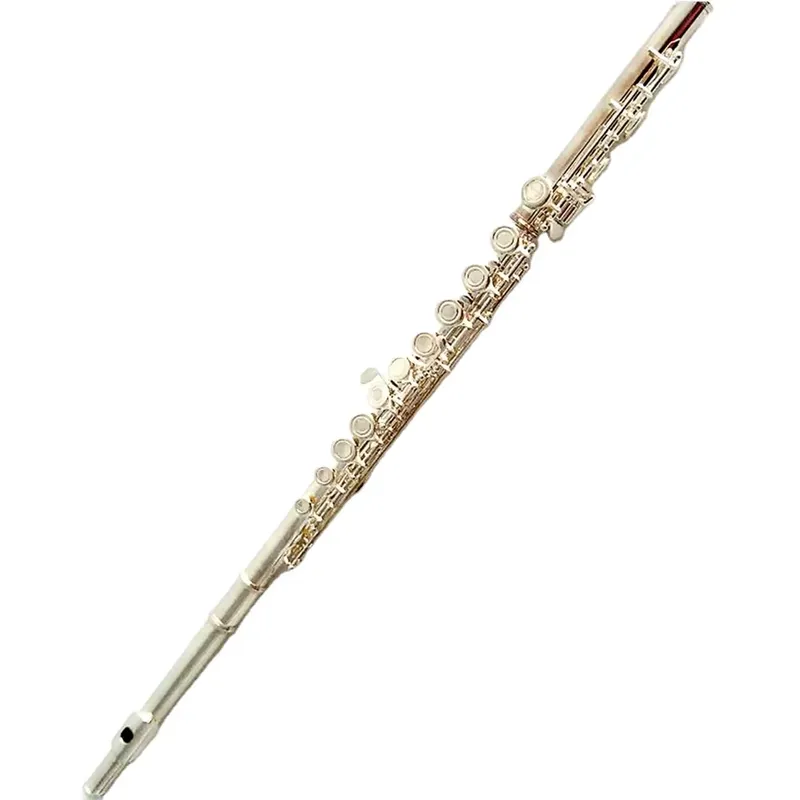 Musical Instrument In Orchestra - Флейта с 16/17 отверстиями, посеребренная, с