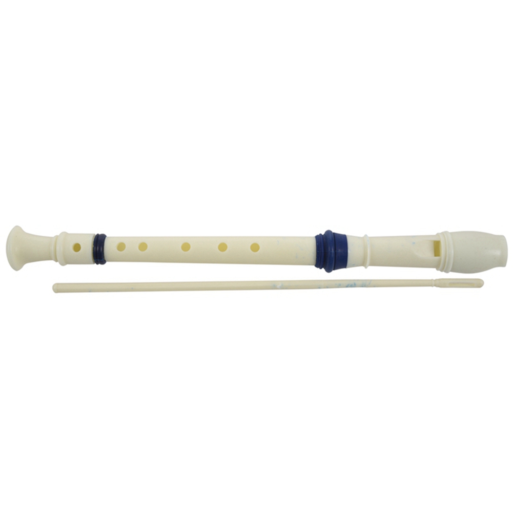 Музыкальный инструмент FSTE-2X – обзор и цена Musical Instrument Recorder