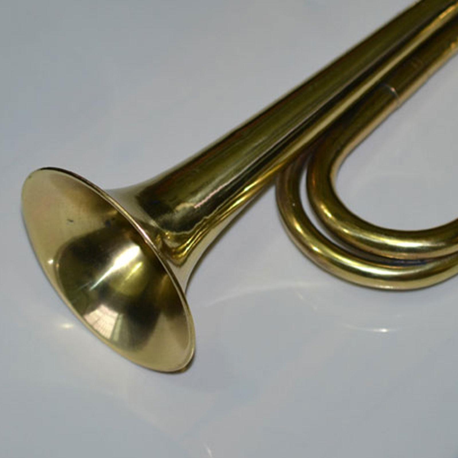 Медицинский рожок для кемпинга – обзор и цена Musical Instrument In Orchestra