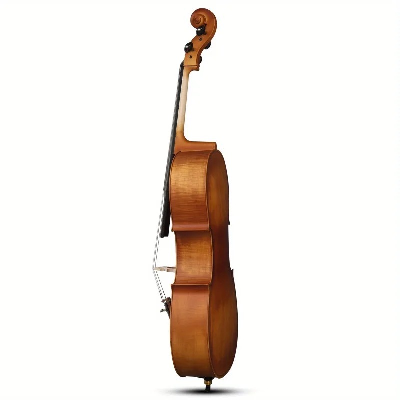 4/4 матовая панельная виолонче – обзор и цена Musical Instrument In Orchestra