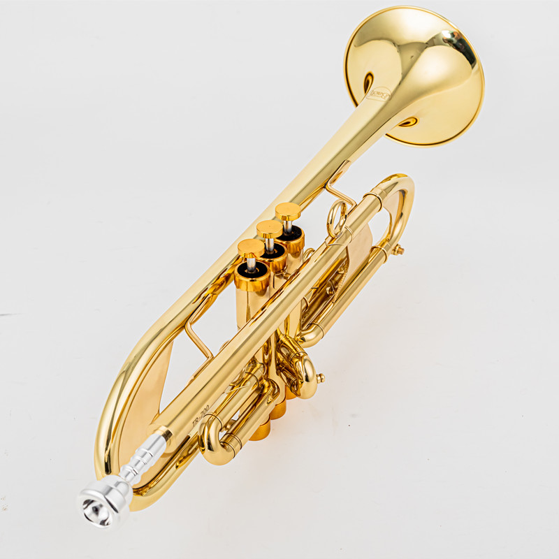 Vincent BACH 700 Bb Труба B Пл – обзор и цена Musical Instrument Fagot
