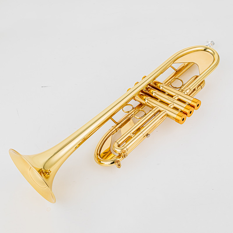 Vincent BACH 700 Bb Труба B Пл – обзор и цена Musical Instrument Fagot