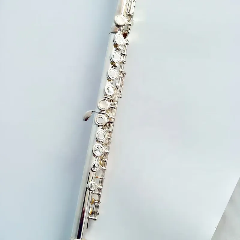 Флейта с 16/17 отверстиями, по – обзор и цена Musical Instrument In Orchestra