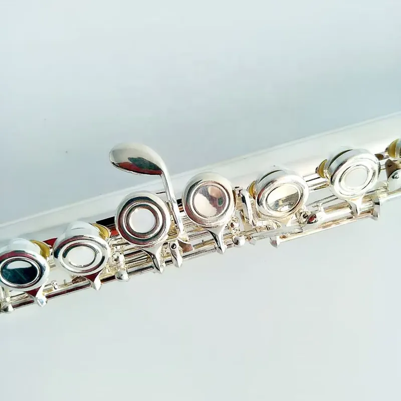 Флейта с 16/17 отверстиями, по – обзор и цена Musical Instrument In Orchestra