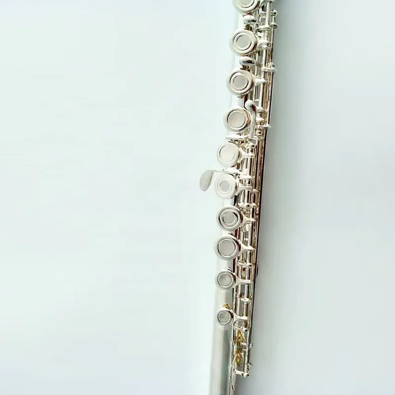 Флейта с 16/17 отверстиями, по – обзор и цена Musical Instrument In Orchestra