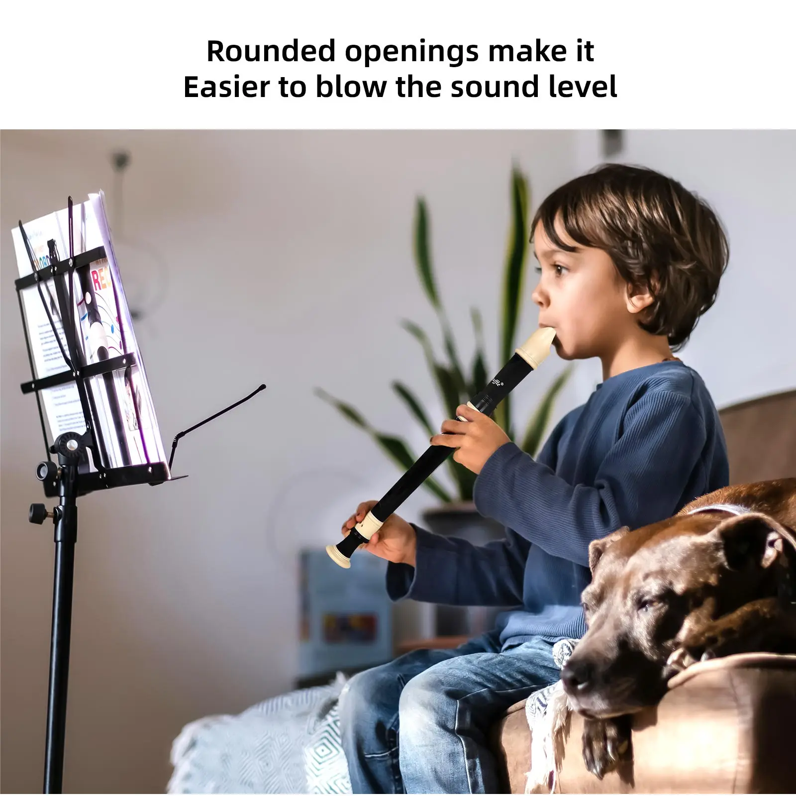 Регистратор с 8 отверстиями в  – обзор и цена Musical Instrument Recorder